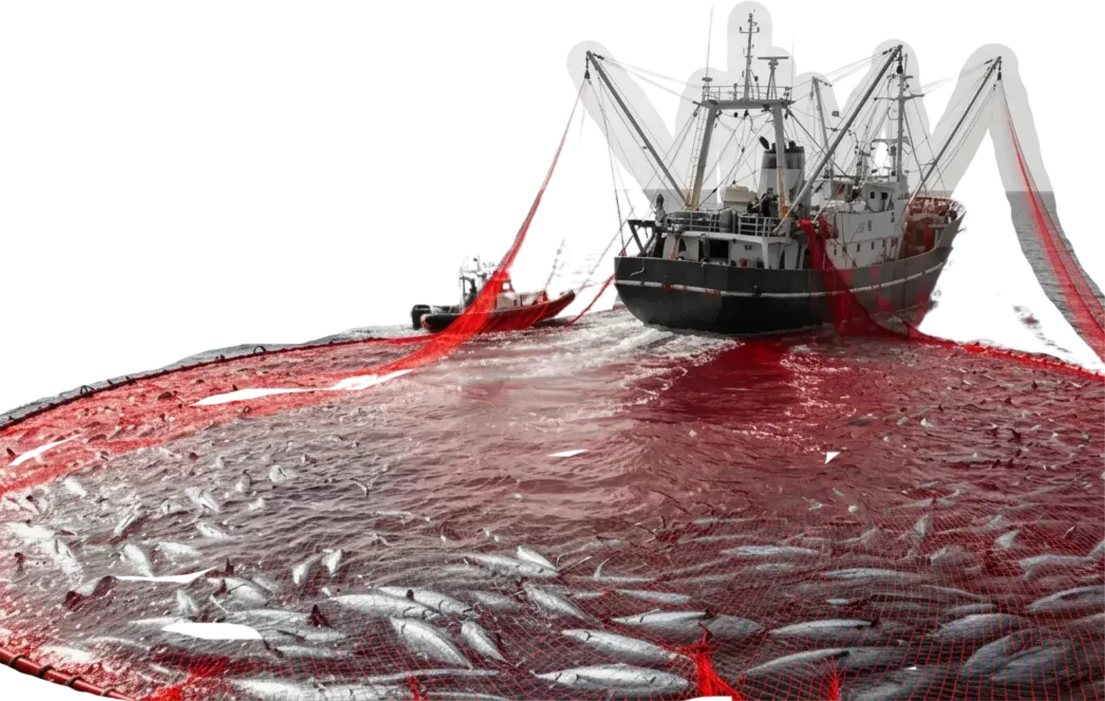 Fishing Nets